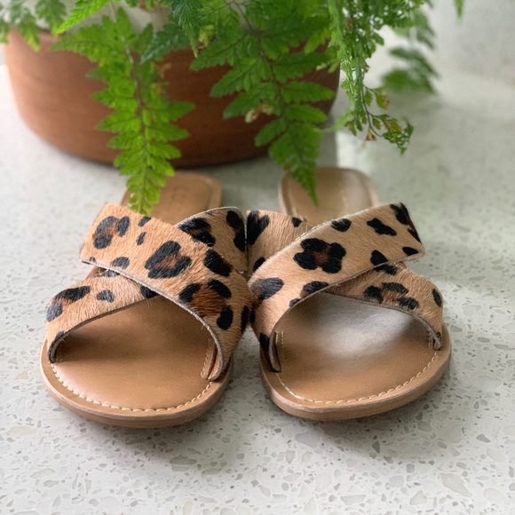 coconuts cheetah sandals